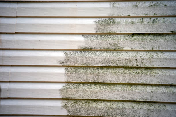 Best Historical Building Siding Restoration  in Broussard, LA