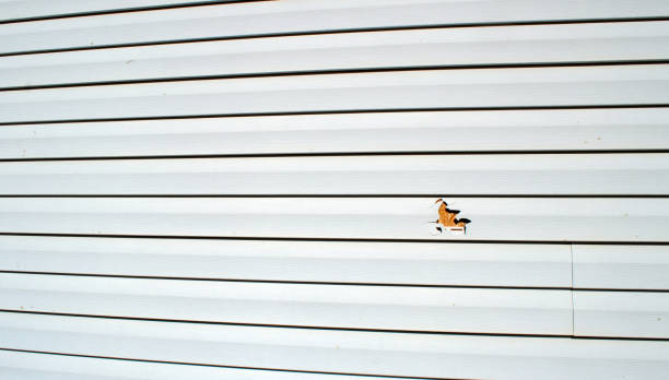 Best Stone Veneer Siding  in Broussard, LA