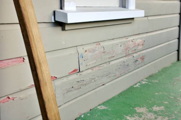 Best Siding for New Construction  in Broussard, LA