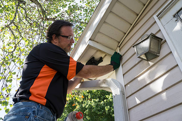 Best Siding Maintenance  in Broussard, LA